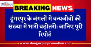 डूंगरपुर के जंगलों में वन्यजीवों की संख्या