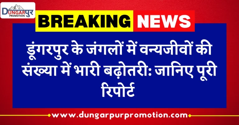 डूंगरपुर के जंगलों में वन्यजीवों की संख्या