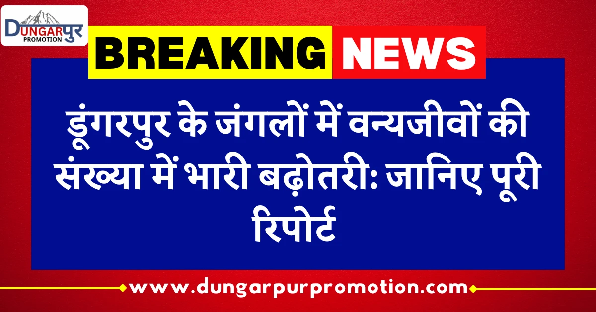 डूंगरपुर के जंगलों में वन्यजीवों की संख्या