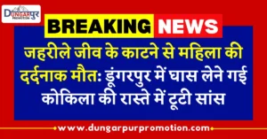 जहरीले जीव के काटने से महिला की दर्दनाक मौत: डूंगरपुर में घास लेने गई कोकिला की रास्ते में टूटी सांस
