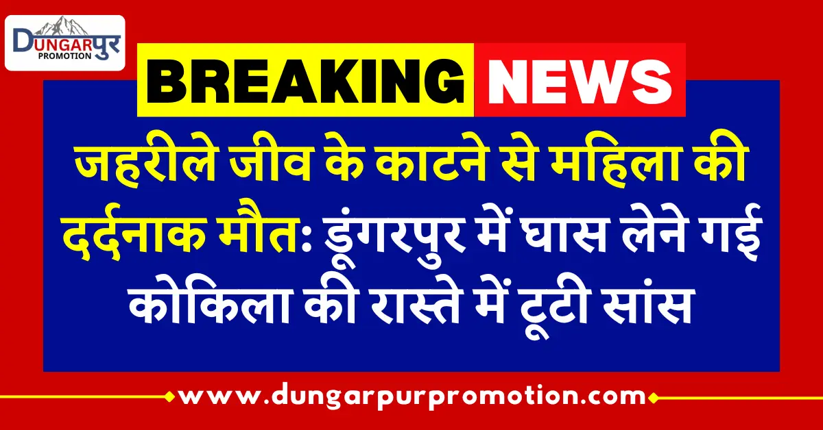 जहरीले जीव के काटने से महिला की दर्दनाक मौत: डूंगरपुर में घास लेने गई कोकिला की रास्ते में टूटी सांस