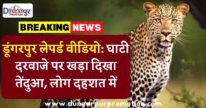 डूंगरपुर लेपर्ड वीडियो: घाटी दरवाजे पर खड़ा दिखा तेंदुआ, लोग दहशत में