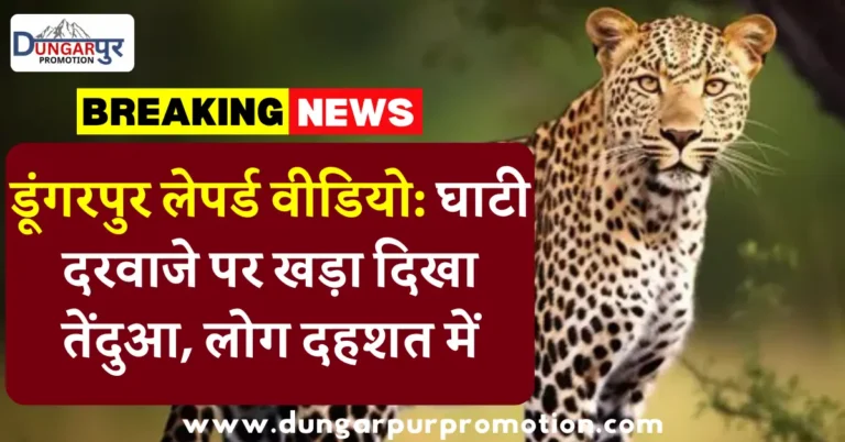 डूंगरपुर लेपर्ड वीडियो: घाटी दरवाजे पर खड़ा दिखा तेंदुआ, लोग दहशत में