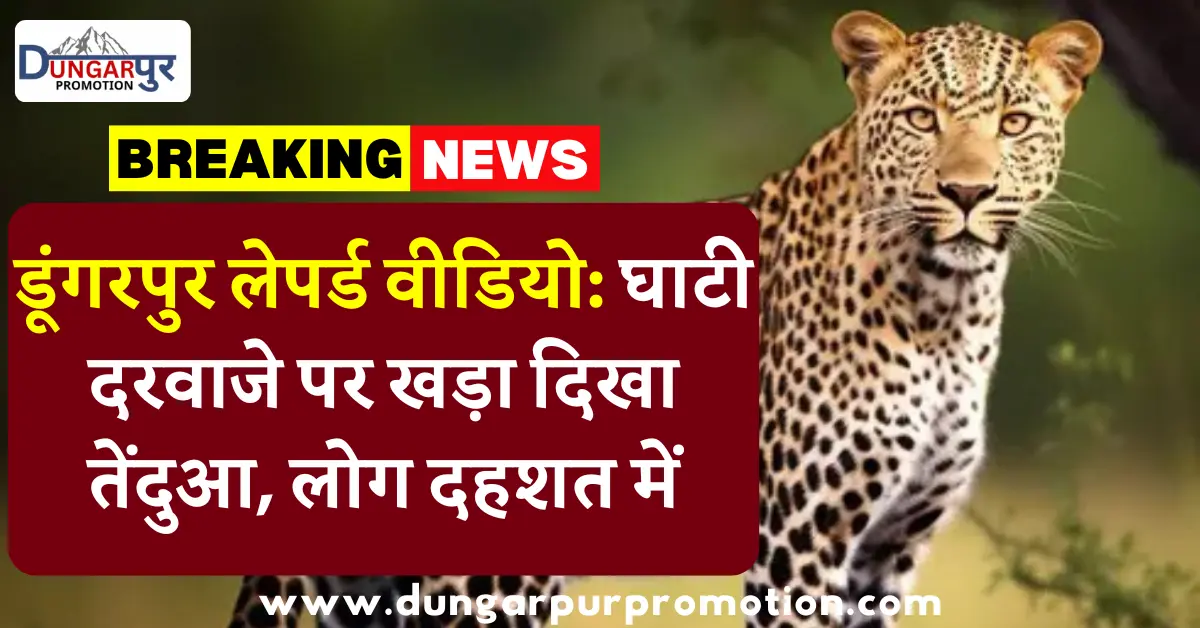 डूंगरपुर लेपर्ड वीडियो: घाटी दरवाजे पर खड़ा दिखा तेंदुआ, लोग दहशत में