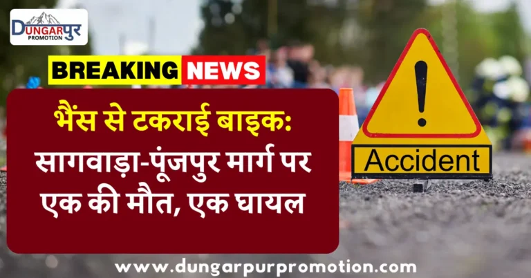 भैंस से टकराई बाइक: सागवाड़ा-पूंजपुर मार्ग पर एक की मौत, एक घायल