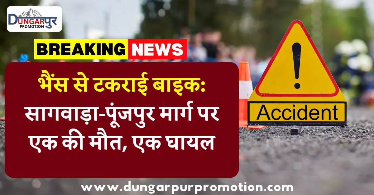 भैंस से टकराई बाइक: सागवाड़ा-पूंजपुर मार्ग पर एक की मौत, एक घायल