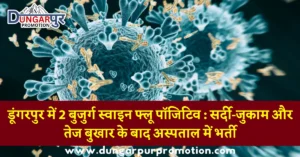 डूंगरपुर में 2 बुजुर्ग स्वाइन फ्लू पॉजिटिव : सर्दी-जुकाम और तेज बुखार के बाद अस्पताल में भर्ती